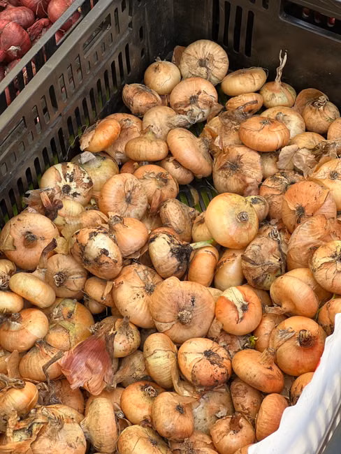 Verduras e Folhas (unid.)